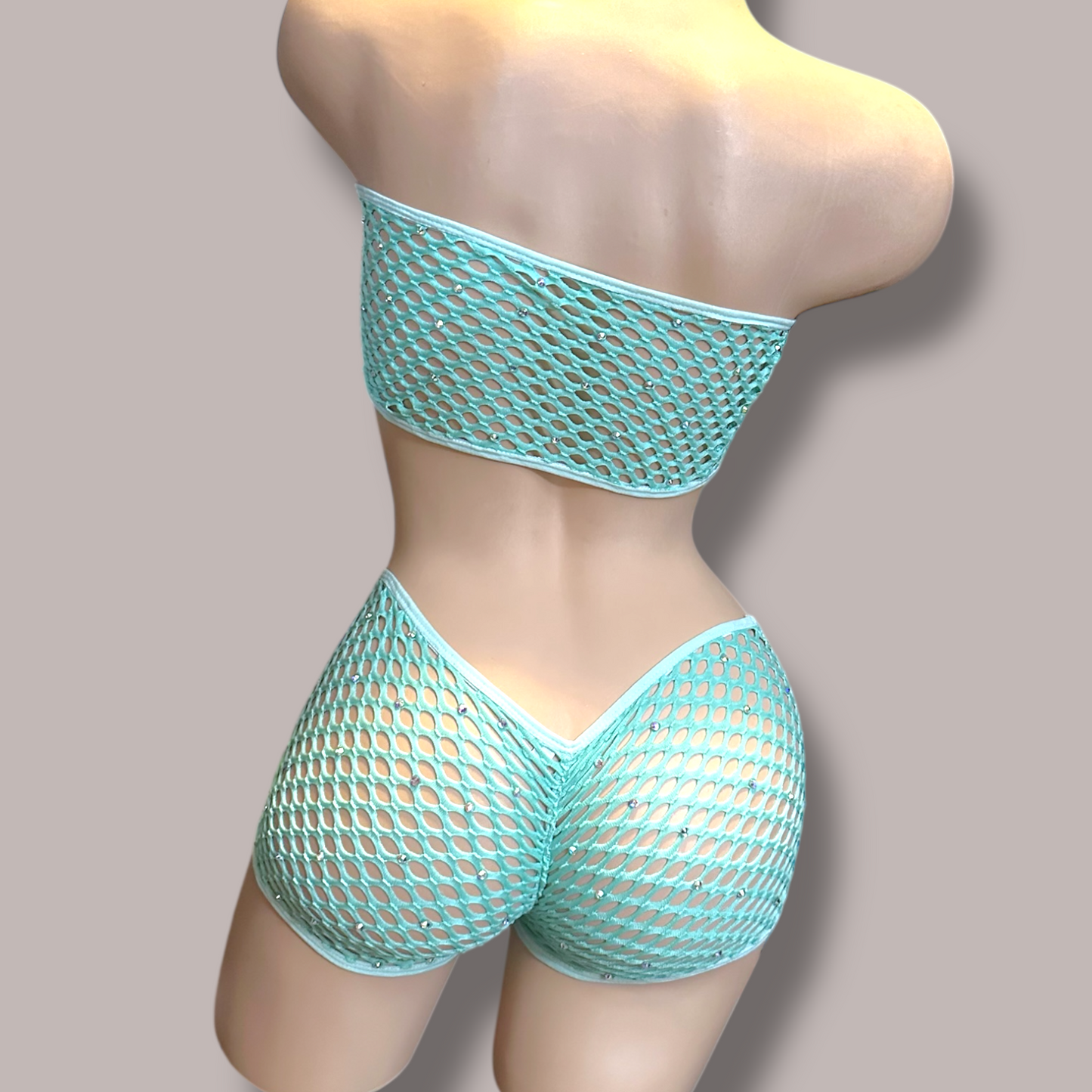 Mint 2 pc Fishnet Set