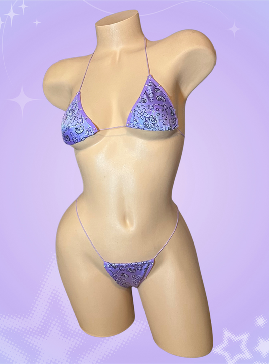 The Nova Microkini, Purple Paisley Print