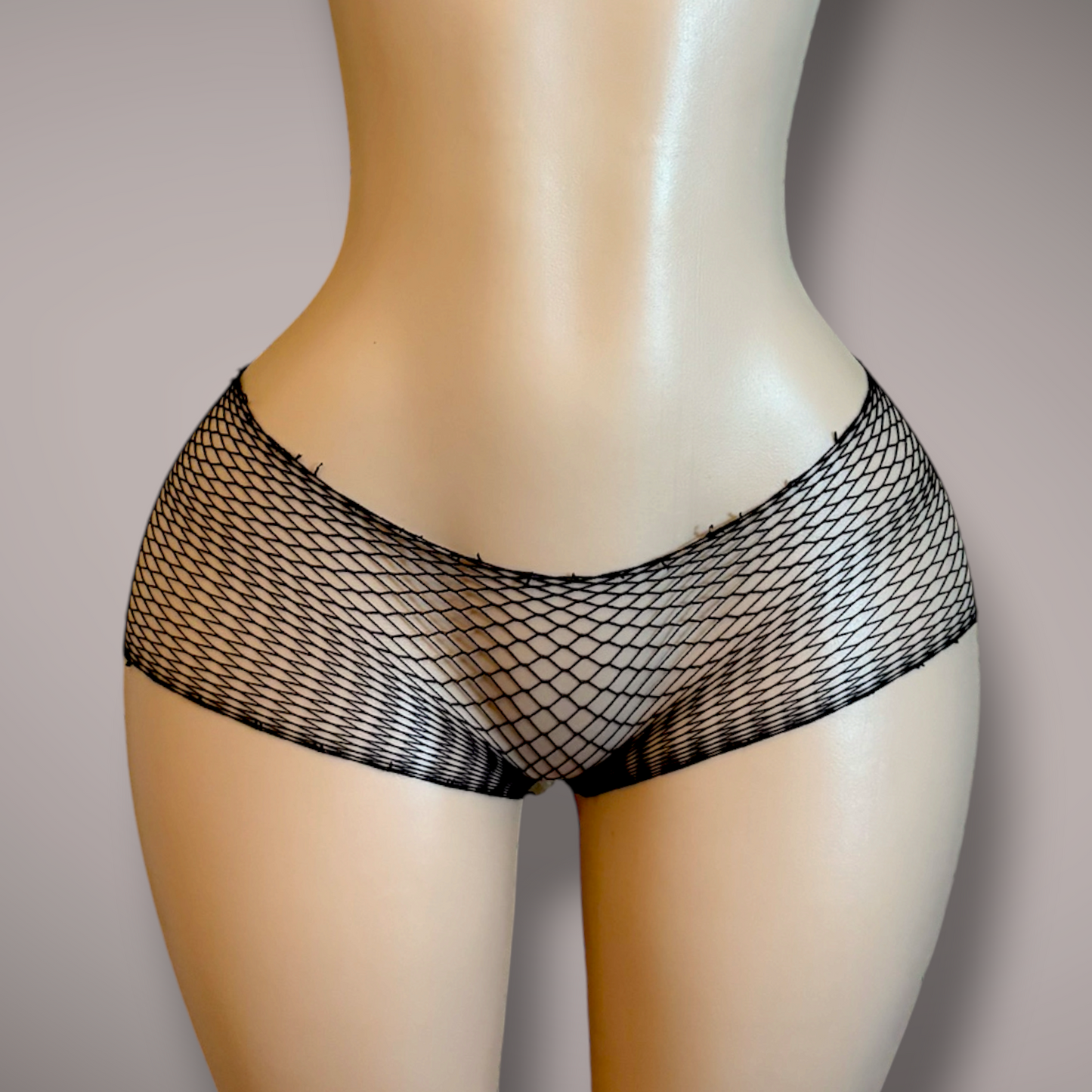 Low Rise Fishnet Shorts